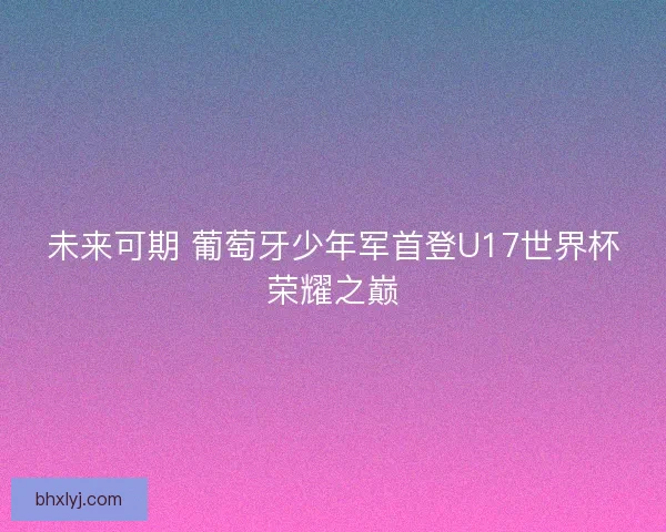 未来可期 葡萄牙少年军首登U17世界杯荣耀之巅
